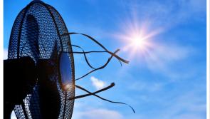 Irish people rush to buy this one essential item as sales more than double amid heatwave