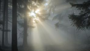 ALERT: Met &Eacute;ireann issue Status Yellow fog warning for 20 counties amid rising temperatures