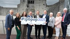 Four groups chosen to represent Limerick at Pride of Place Awards