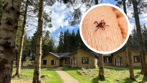 ALERT: Irish holidaymakers warned against wearing sandals amid disease fears