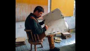 Limerick brushstrokes at Ballyfin: Autumn Winter residency unveiled