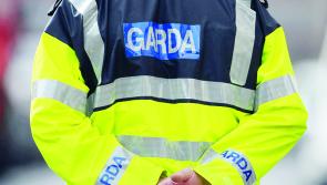 'Nothing is off the table' - Second round of Garda recruitment confirmed by Justice Minister