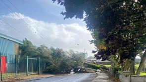Storm Amy causes more roads to close across Limerick