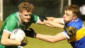 Experimental Limerick side open McGrath Cup with defeat to Tipperary