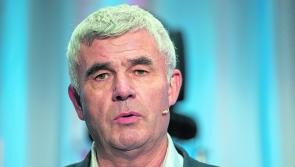 Shannon Group chair resigns from role