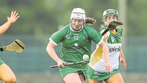 Limerick scoring sensation included in nominations for the 2022 PwC Camogie All-Stars
