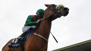 Limerick jockeys Chris Hayes and Billy Lee end Galway Races Summer Festival with victories