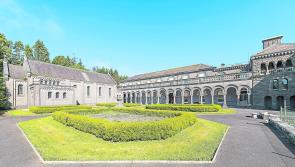 Appeal for donations for Ukrainians who arrived in Limerick overnight