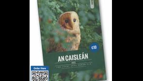 Much-loved Limerick yearbook back on the shelves