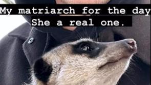 PICS: Hollywood superstar spotted enjoying Irish tourist attraction 