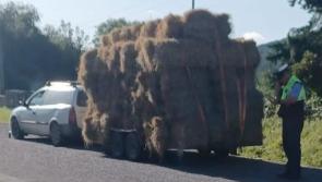 'Last straw' for garda&iacute; as they seize this vehicle for very obvious reason