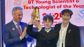 Limerick student wins BT Young Scientist competition with AI project