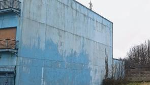 Limerick council to Make a Move on developing city mural project