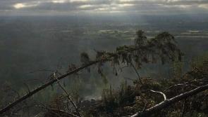 Emergency crews battle forest fires overnight in Limerick