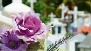 Deadline needed as search continues for sites in County Limerick graveyard saga 