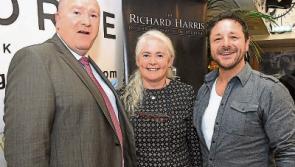 Row breaks out at council over arts funding allocation in Limerick