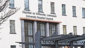 Limerick gardai injured in road crash discharged from hospital