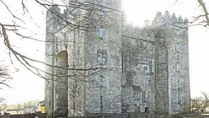 Mouse droppings led to closure of  bakery at Bunratty Castle and Folk Park