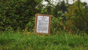 Over 50 planning submissions for new social housing estate in Limerick city