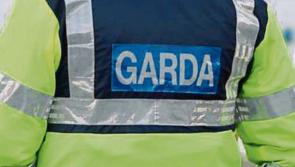 Garda assaulted during arrest for dangerous driving taken to hospital with serious injuries