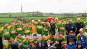 Limerick man minds the Irish economy and the net as he bags a county medal