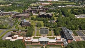 University of Limerick whistleblowers urge Minister to intervene in dispute