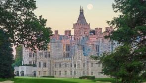 Limerick&rsquo;s Adare Manor celebrates first birthday after &lsquo;incredible journey&rsquo;
