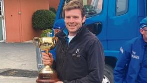 Limerick vet nursed&nbsp;Melbourne Cup winner back to health for race that stops a nation