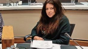 New face on council in Limerick as Cahillane is co-opted for Prendiville