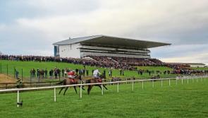All set for day two of the Mr Binman Limerick Christmas Racing Festival