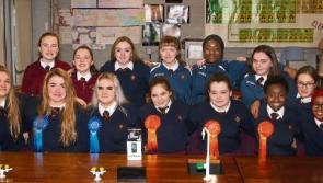 BT Young Scientist projects encouraging girls studying STEM in Limerick schools