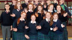 A lot of &lsquo;confabulation&rsquo; about County Limerick&nbsp;school&rsquo;s six BT Young Scientist entries