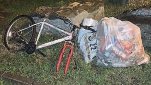 Illegal dumping a &lsquo;stain&rsquo; on Limerick city as crackdown is called for