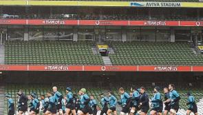 Munster player joins Ireland's Six Nations squad