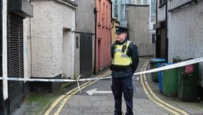 Boy, 16, to face trial for violent attack on detective at Limerick laneway