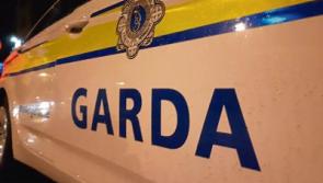 Gardai launch investigation after horses shot dead near Limerick border
