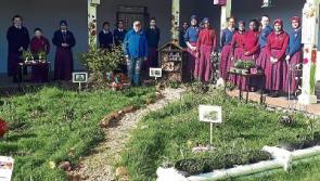 Wild About Wildlife: Space for nature