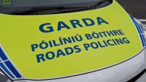 Gardai in Killaloe appeal for witnesses after fatal crash