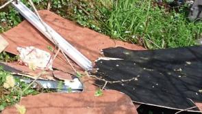 Renewed calls for CCTV cameras after dumping in Limerick village