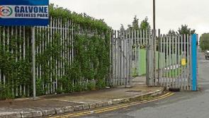 Limerick councillors accused of stifling job creation plans