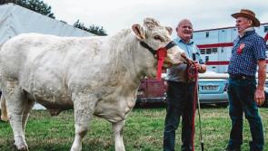 South East Clare Show may ban Limerick people in future due to their success!