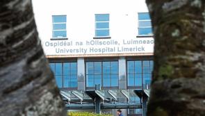 New coronavirus virus helpline for Limerick launched