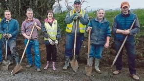 Two neighbouring County Limerick Tidy Towns entries binned by judges