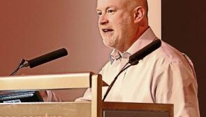 Limerick senator calls for urgent migrant crisis action