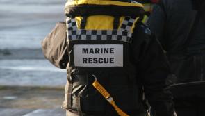 UPDATE: Female in 'critical condition' following Limerick river rescue