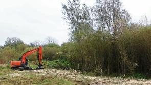 Residents on outskirts of Limerick city fight for green space as zoning row rumbles on &nbsp; &nbsp;