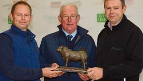 Limousin society honours a&nbsp;Rolls Royce of a Limerick farmer