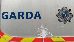Garda&iacute; arrest two men following armed robberies at two fast food outlets