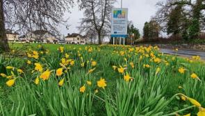 Then & Now: In like a lion, out like a lamb