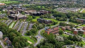 &lsquo;Dangerous levels of staff bullying&rsquo; alleged at University of Limerick